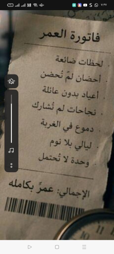 img-20260614-wa00371729717597793524928-461x1024 ثمن الغربة