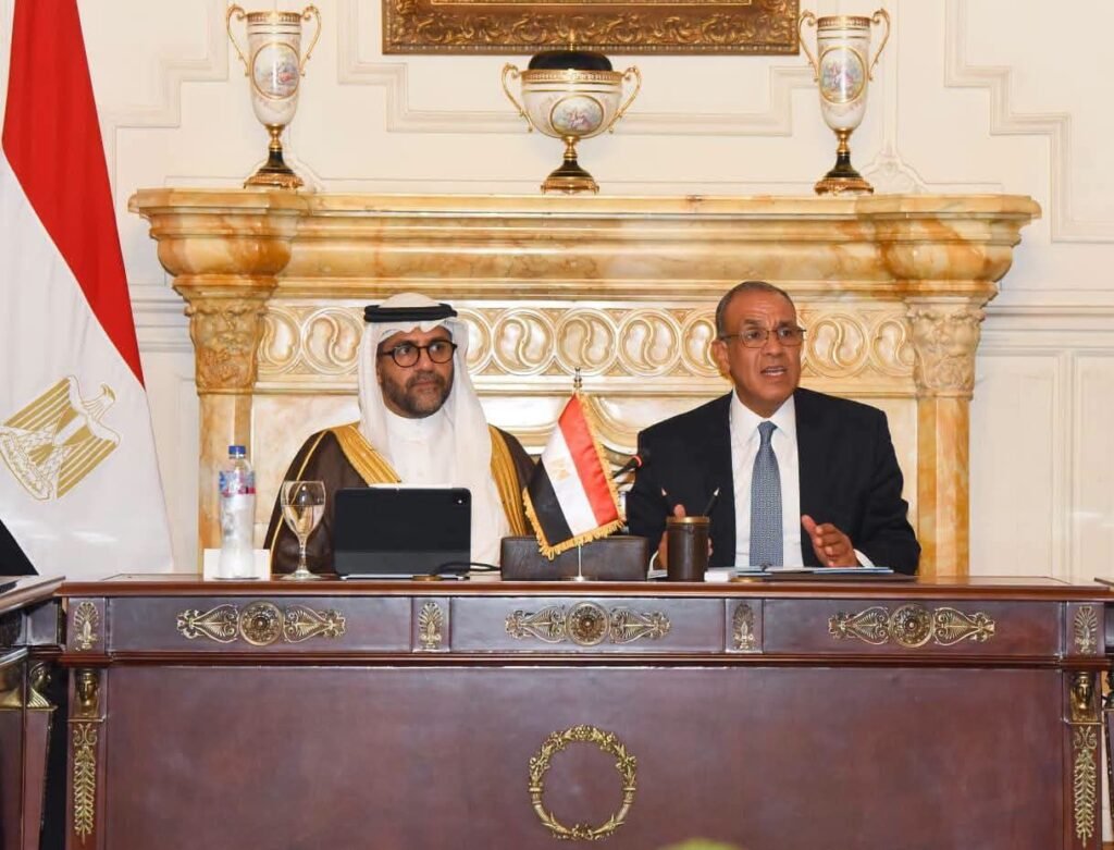 fb_img_17869562008357320627753772140350-1024x781 بيان صادر عن وزارة الخارجية والتعاون الدولي والمصريين بالخارج: