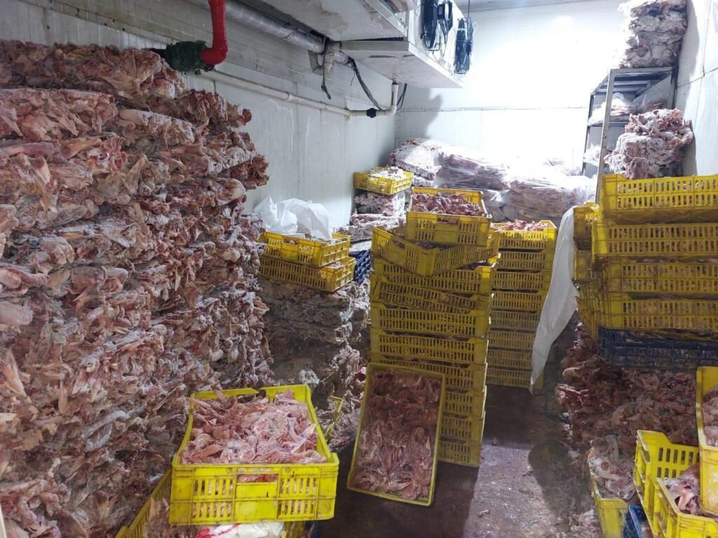 img-20260827-wa01191231733605667395364-1024x768 محافظ الجيزة: ضبط 3231 مخالفة تموينية والتحفظ على نحو 225 طنًا من السلع المدعمة والغذائية المخالفة