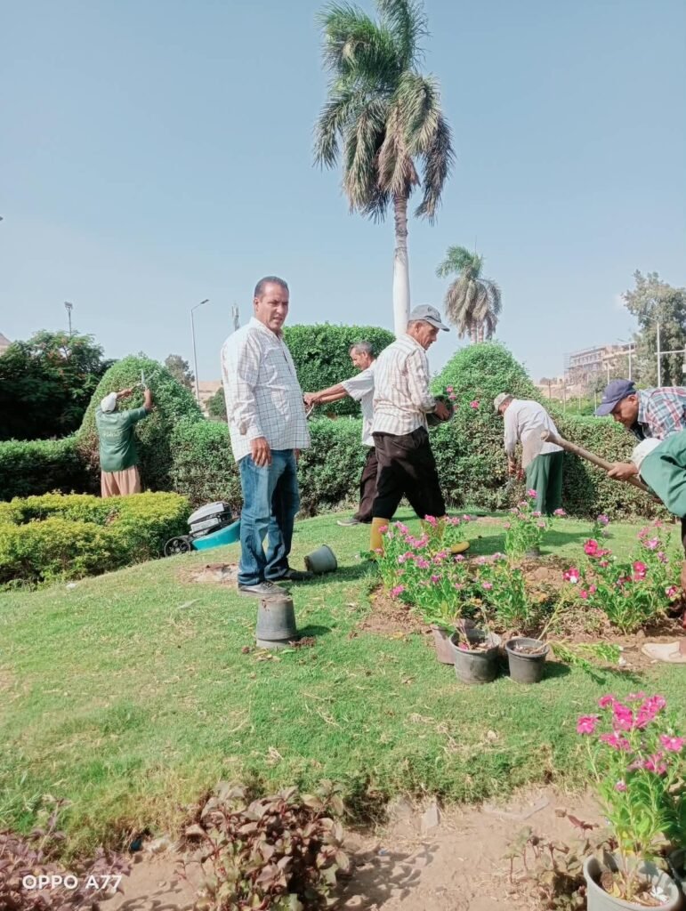 img-20260830-wa00555938520726535461019-771x1024 الجيزة ترفع كفاءة محيط المتحف المصري الكبير ومدخل الأهرامات بأعمال نظافة وتجميل مكثفة