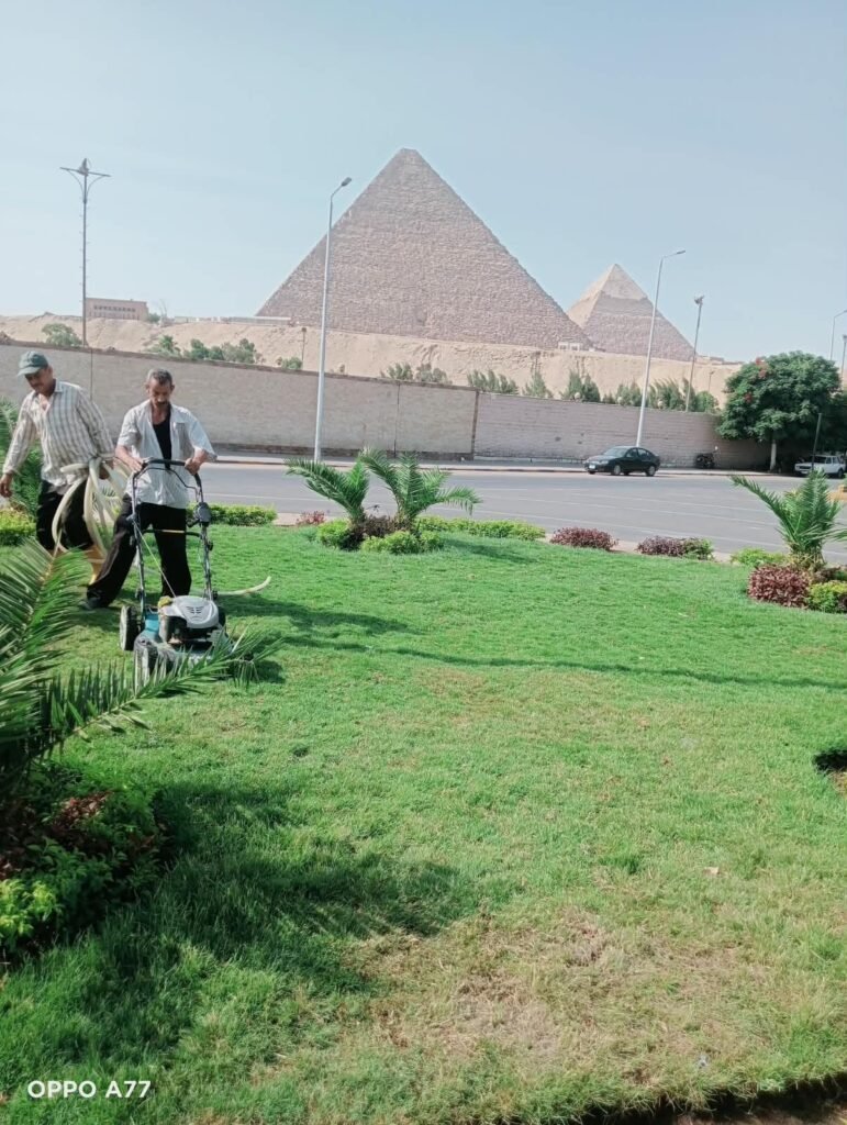 img-20260830-wa00636611244093118131882-771x1024 الجيزة ترفع كفاءة محيط المتحف المصري الكبير ومدخل الأهرامات بأعمال نظافة وتجميل مكثفة