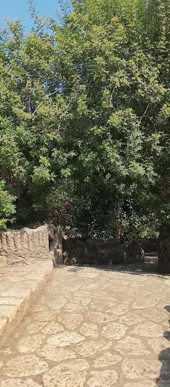 بيان صادر عن وزارة الزراعة واستصلاح الأراضي: