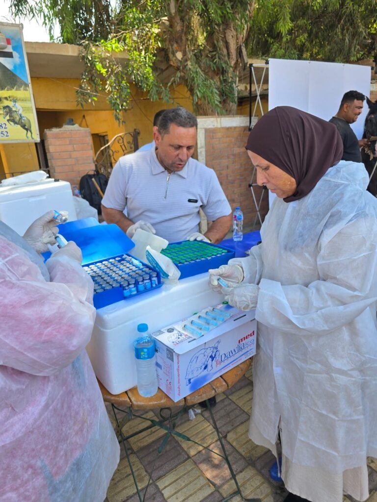img-20260907-wa00867733029082365710635-768x1024 محافظة الجيزة: بدء أعمال تطعيم وترقيم الخيول بمنطقة الهرم استعدادًا لاستضافة بطولة Longines Global Champions Tour ٢٠٢٦