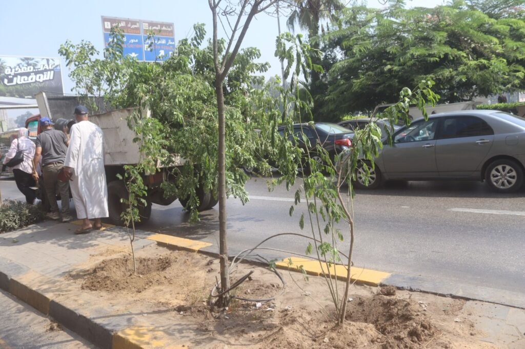 img-20260909-wa0033236212762985029820-1024x682 بناء على توجيهات الدكتور أحمد الأنصاري محافظ الجيزة