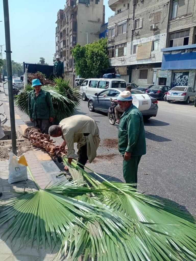 img-20260915-wa00444996539317121095828-768x1024 بناء على توجيهات الدكتور أحمد الأنصاري محافظ الجيزة للهيئة العامة للنظافة والتجميل بالجيزة