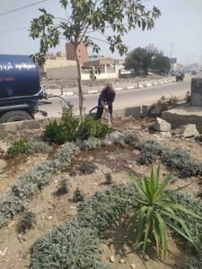 img-20260923-wa00103696501230998534208-225x300 بناء على توجيهات الدكتور أحمد الأنصاري محافظ الجيزة