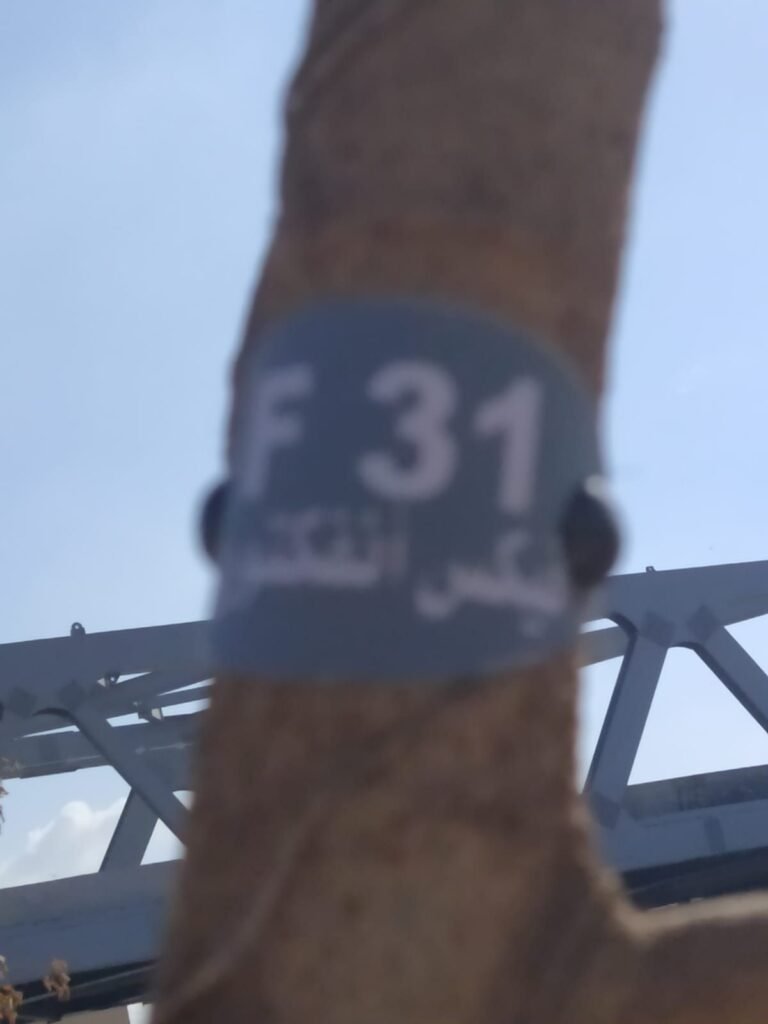 img-20260923-wa00198348862809516955545-768x1024 بناء على توجيهات الدكتور أحمد الأنصاري محافظ الجيزة