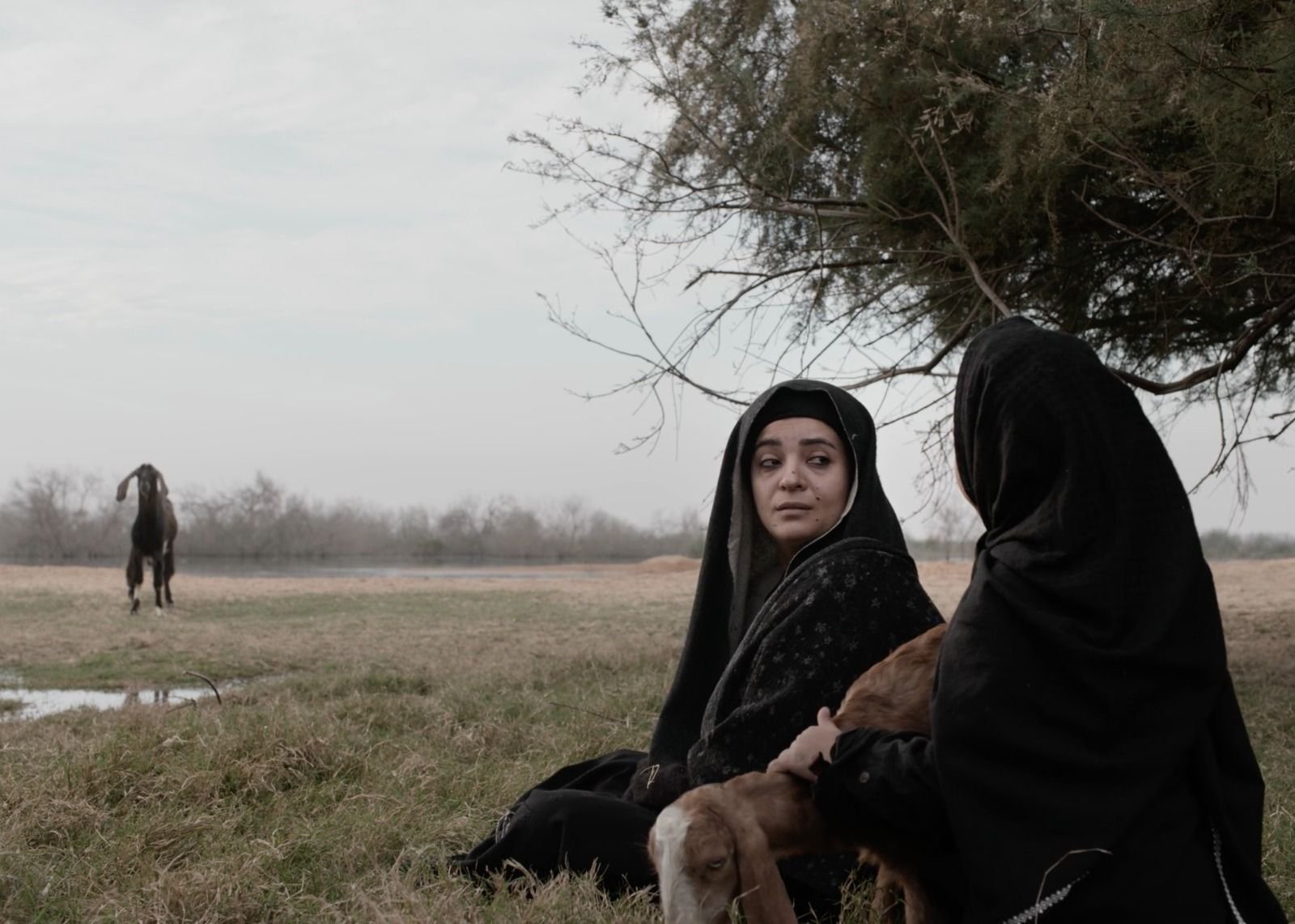 _*ثلاثة مشاريع سينمائية مدعومة من المورد الثقافي في الدورة التاسعة لمهرجان الجونة السينمائي*_