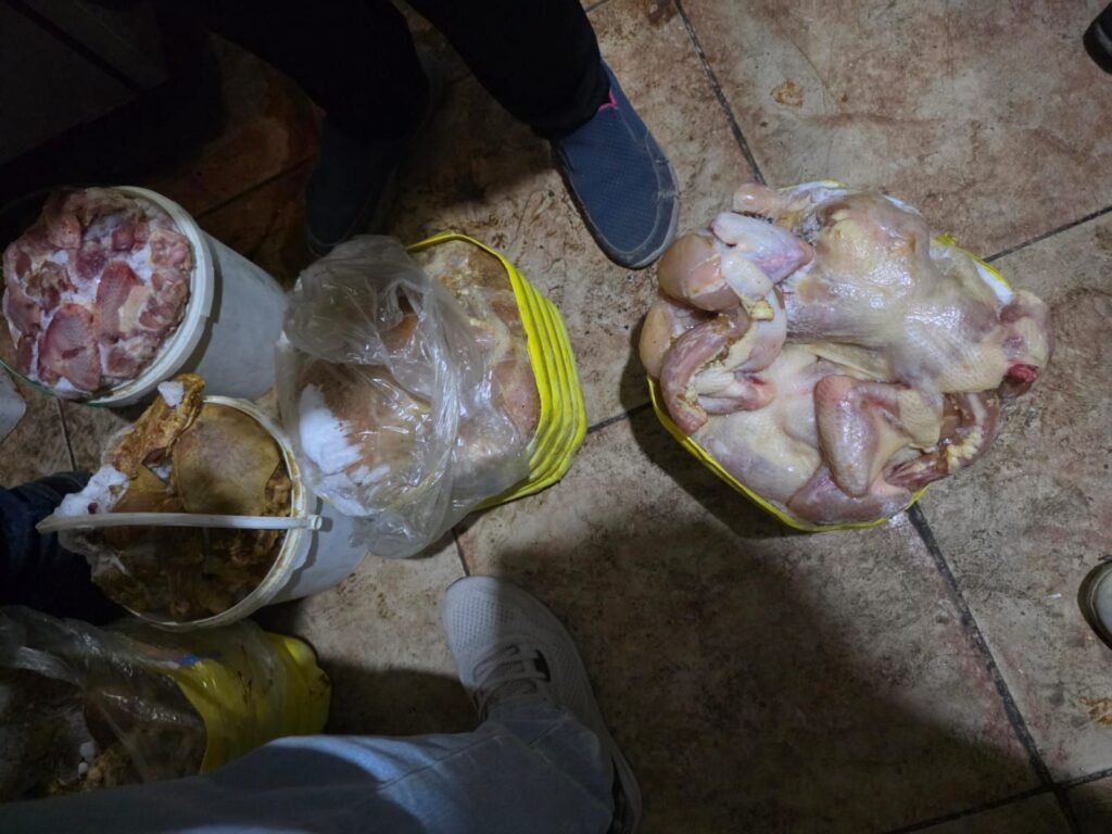IMG-20261013-WA0061-1024x768 ضربة رقابية بحي الطالبية.. ضبط 300 كيلو لحوم ودواجن غير صالحة للاستهلاك الآدمي وغلق وتشميع المطعم المخالف
