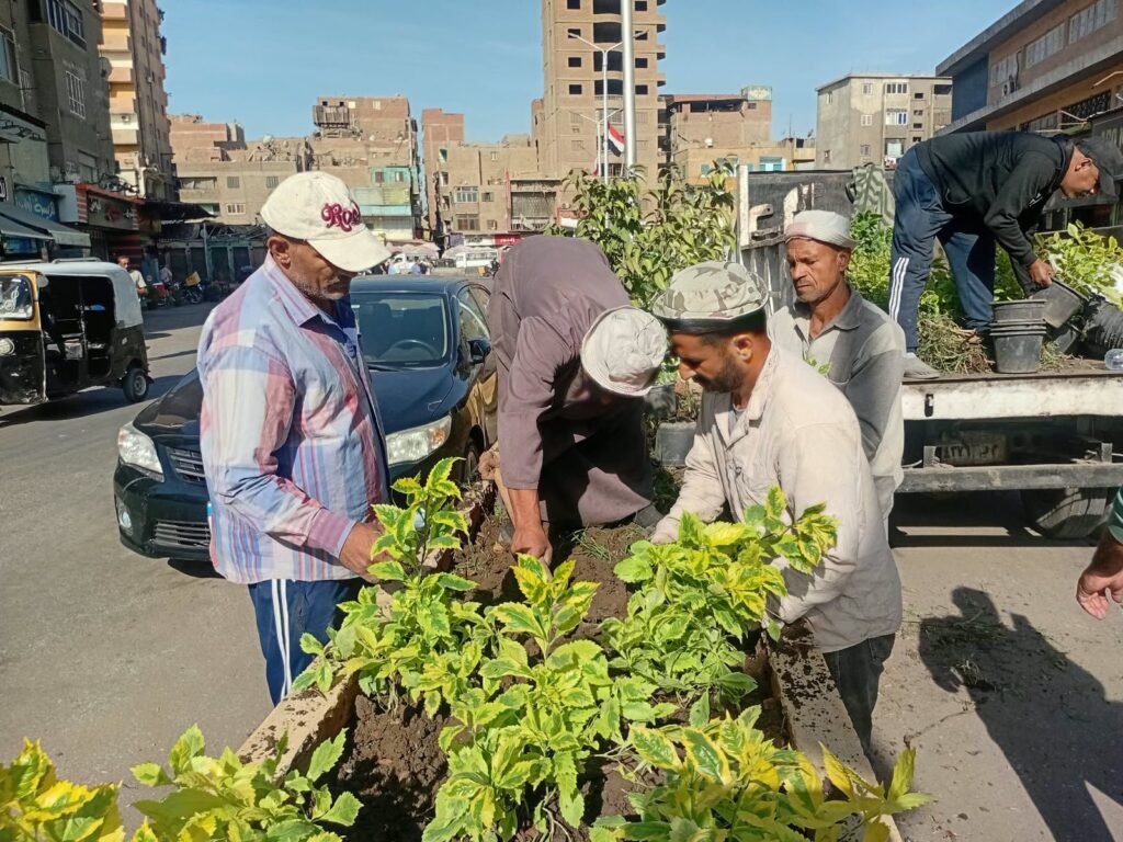 IMG-20261013-WA0089-1024x768 بناء على توجيهات الدكتور أحمد الأنصاري محافظ الجيزة للهيئة العامة للنظافة والتجميل بالجيزة بشأن التوسع في زراعة النباتات والأشجار بمبادرة اتحضر للاخضر بالجيزة