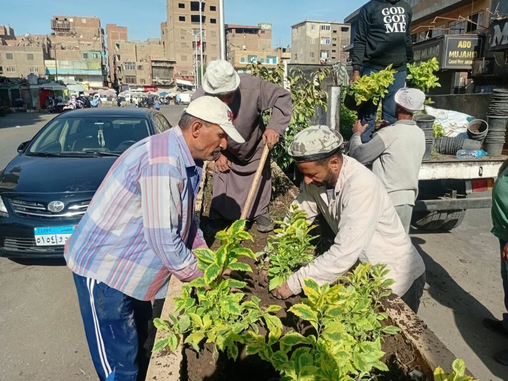IMG-20261013-WA0090-1024x768 بناء على توجيهات الدكتور أحمد الأنصاري محافظ الجيزة للهيئة العامة للنظافة والتجميل بالجيزة بشأن التوسع في زراعة النباتات والأشجار بمبادرة اتحضر للاخضر بالجيزة