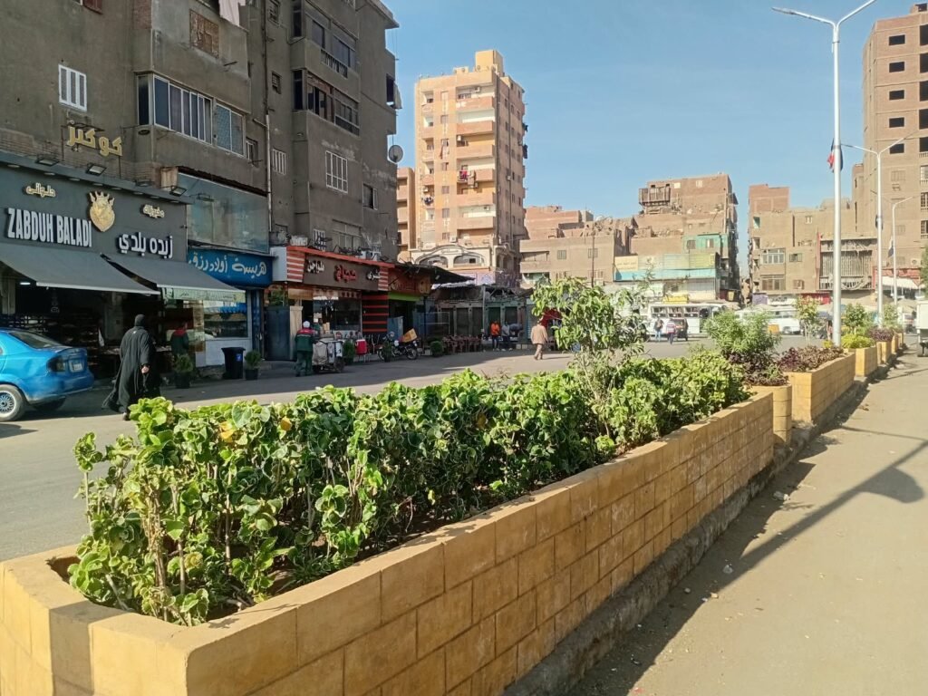 IMG-20261013-WA0093-1024x768 بناء على توجيهات الدكتور أحمد الأنصاري محافظ الجيزة للهيئة العامة للنظافة والتجميل بالجيزة بشأن التوسع في زراعة النباتات والأشجار بمبادرة اتحضر للاخضر بالجيزة