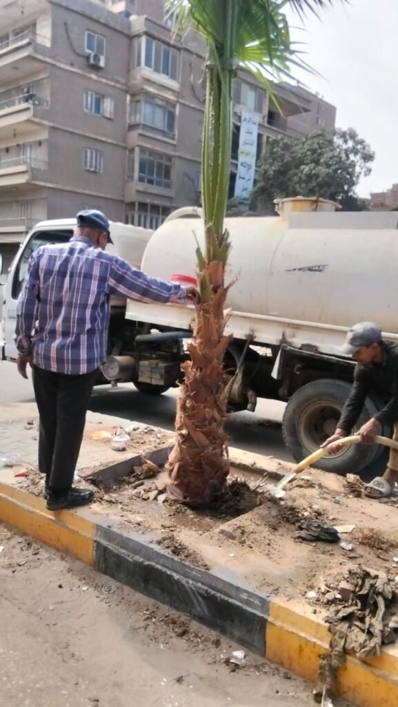 IMG-20261014-WA0032-577x1024 بناء على توجيهات الدكتور أحمد الأنصاري محافظ الجيزة للهيئة العامة للنظافة والتجميل بالجيزة بشأن التوسع في مبادرة اتحضر للاخضر وحملة ١٠٠مليون شجرة بالجيزة