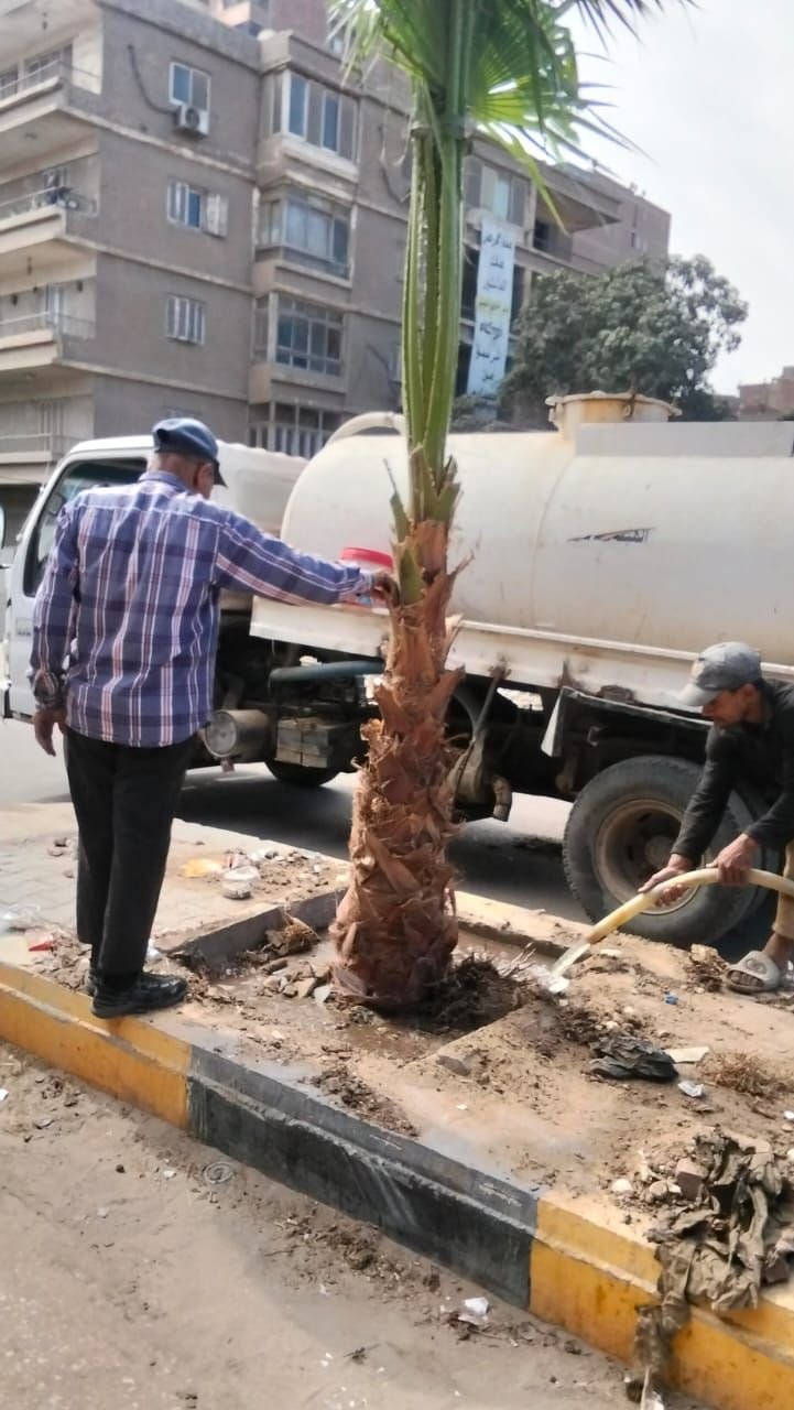بناء على توجيهات الدكتور أحمد الأنصاري محافظ الجيزة للهيئة العامة للنظافة والتجميل بالجيزة بشأن التوسع في مبادرة اتحضر للاخضر وحملة ١٠٠مليون شجرة بالجيزة