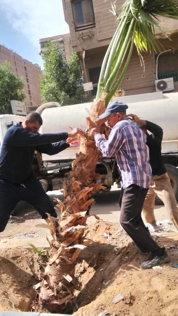 IMG-20261014-WA0033-577x1024 بناء على توجيهات الدكتور أحمد الأنصاري محافظ الجيزة للهيئة العامة للنظافة والتجميل بالجيزة بشأن التوسع في مبادرة اتحضر للاخضر وحملة ١٠٠مليون شجرة بالجيزة
