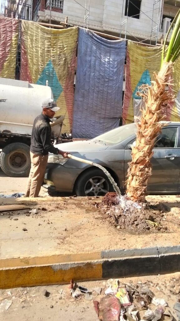 IMG-20261014-WA0034-577x1024 بناء على توجيهات الدكتور أحمد الأنصاري محافظ الجيزة للهيئة العامة للنظافة والتجميل بالجيزة بشأن التوسع في مبادرة اتحضر للاخضر وحملة ١٠٠مليون شجرة بالجيزة