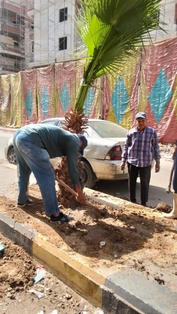 IMG-20261014-WA0038-577x1024 بناء على توجيهات الدكتور أحمد الأنصاري محافظ الجيزة للهيئة العامة للنظافة والتجميل بالجيزة بشأن التوسع في مبادرة اتحضر للاخضر وحملة ١٠٠مليون شجرة بالجيزة