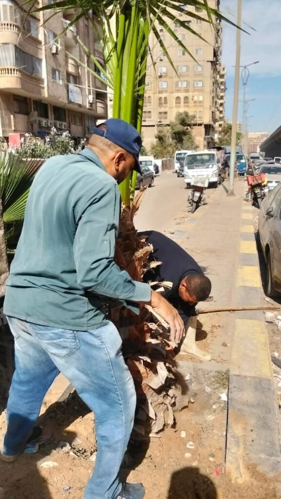 IMG-20261014-WA0040-577x1024 بناء على توجيهات الدكتور أحمد الأنصاري محافظ الجيزة للهيئة العامة للنظافة والتجميل بالجيزة بشأن التوسع في مبادرة اتحضر للاخضر وحملة ١٠٠مليون شجرة بالجيزة
