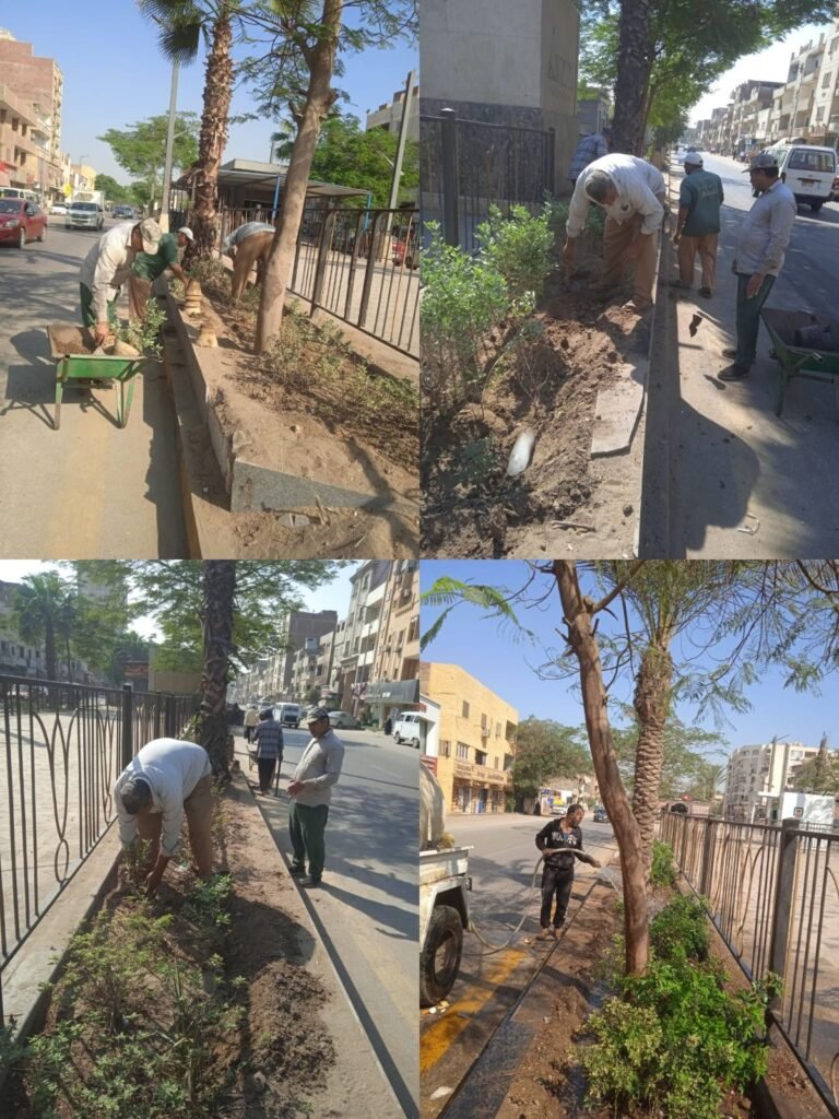 IMG-20261015-WA0022-768x1024 بناء على توجيهات الدكتور أحمد الأنصاري محافظ الجيزة للهيئة العامة للنظافة والتجميل بالجيزة