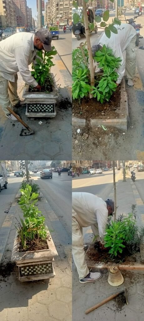 IMG-20261015-WA0023-460x1024 بناء على توجيهات الدكتور أحمد الأنصاري محافظ الجيزة للهيئة العامة للنظافة والتجميل بالجيزة