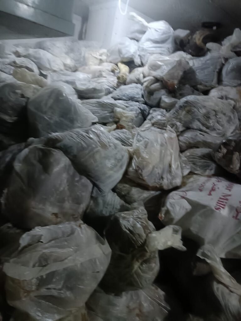 IMG-20261020-WA0037-768x1024 محافظة الجيزة تضبط 13 طنًا من اللحوم والمنتجات الحيوانية غير الصالحة للاستهلاك الآدمي ولحوم مذبوحة خارج المجازر الحكومية خلال أسبوعين