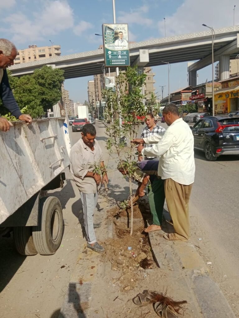IMG-20261021-WA0035-768x1024 : زراعه أحواض شارع اللبيني حي الهرم<br>: زراعه أحواض شارع ترسا حي الطالبية