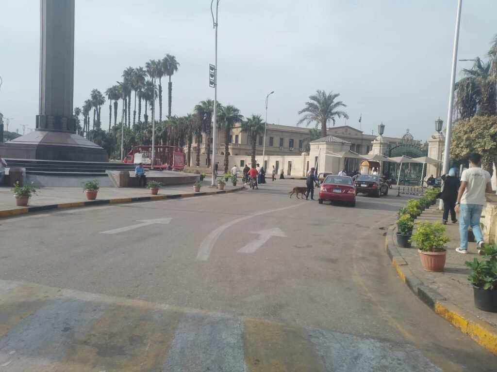 IMG-20261026-WA0036-1024x768 حملات مكثفة لرفع كفاءة النظافة بشارع الجامعة حي جنوب الجيزة
