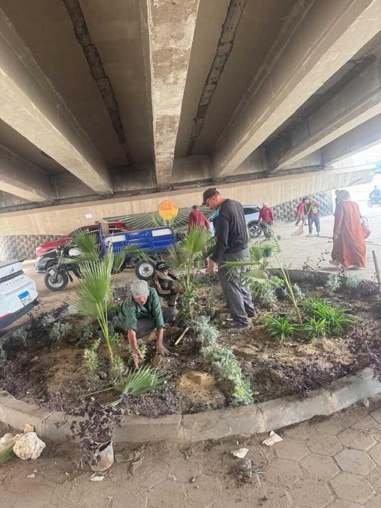 IMG-20261026-WA0066-768x1024 تحويل مناطق تجمع قمامه وزراعتها أسفل محور عمرو بن العاص العروبه حي الطالبية