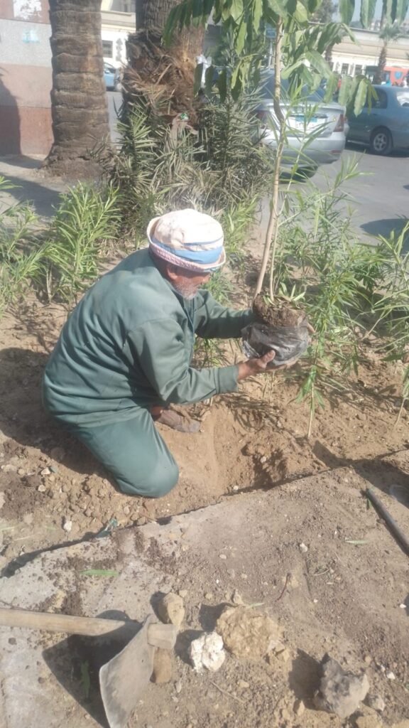 IMG-20261028-WA0032-576x1024 بناء على توجيهات الدكتور أحمد الأنصاري محافظ الجيزة للهيئة العامة للنظافة والتجميل بالجيزة