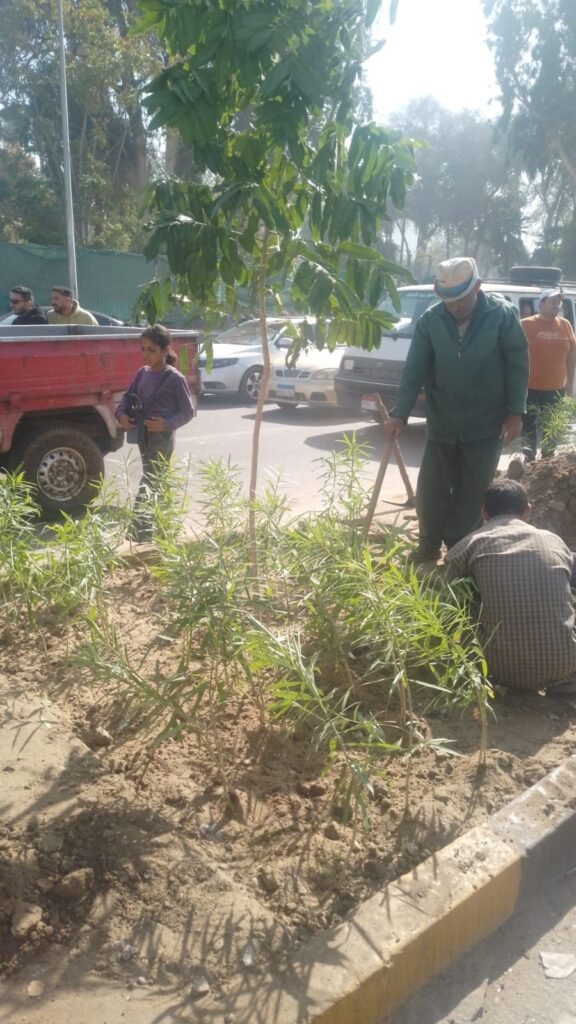 IMG-20261028-WA0034-576x1024 بناء على توجيهات الدكتور أحمد الأنصاري محافظ الجيزة للهيئة العامة للنظافة والتجميل بالجيزة